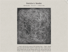 Tablet Screenshot of patriciaabender.com